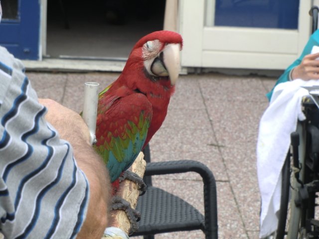 2011-09-04 Wantijpark